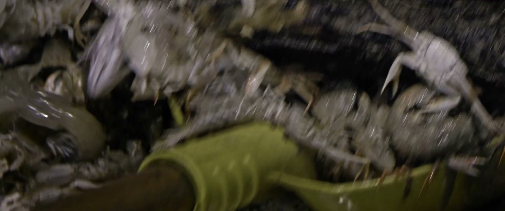 GAGIO — anteprima video